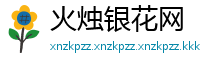 火烛银花网